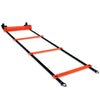 Pro Agility Ladder and Cones (15 ft Ladder & 12 Cones) - Profect Sports